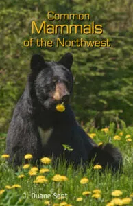 Common Mammals of the Northwest by J. Duane Sept