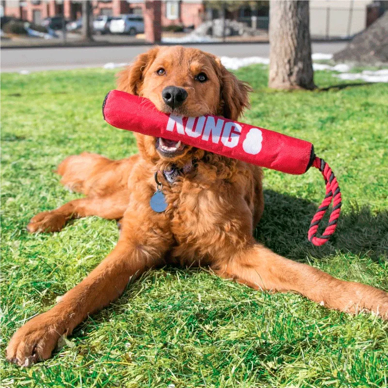 Kong Juguete para Perro Palo para Morder y Lanzar