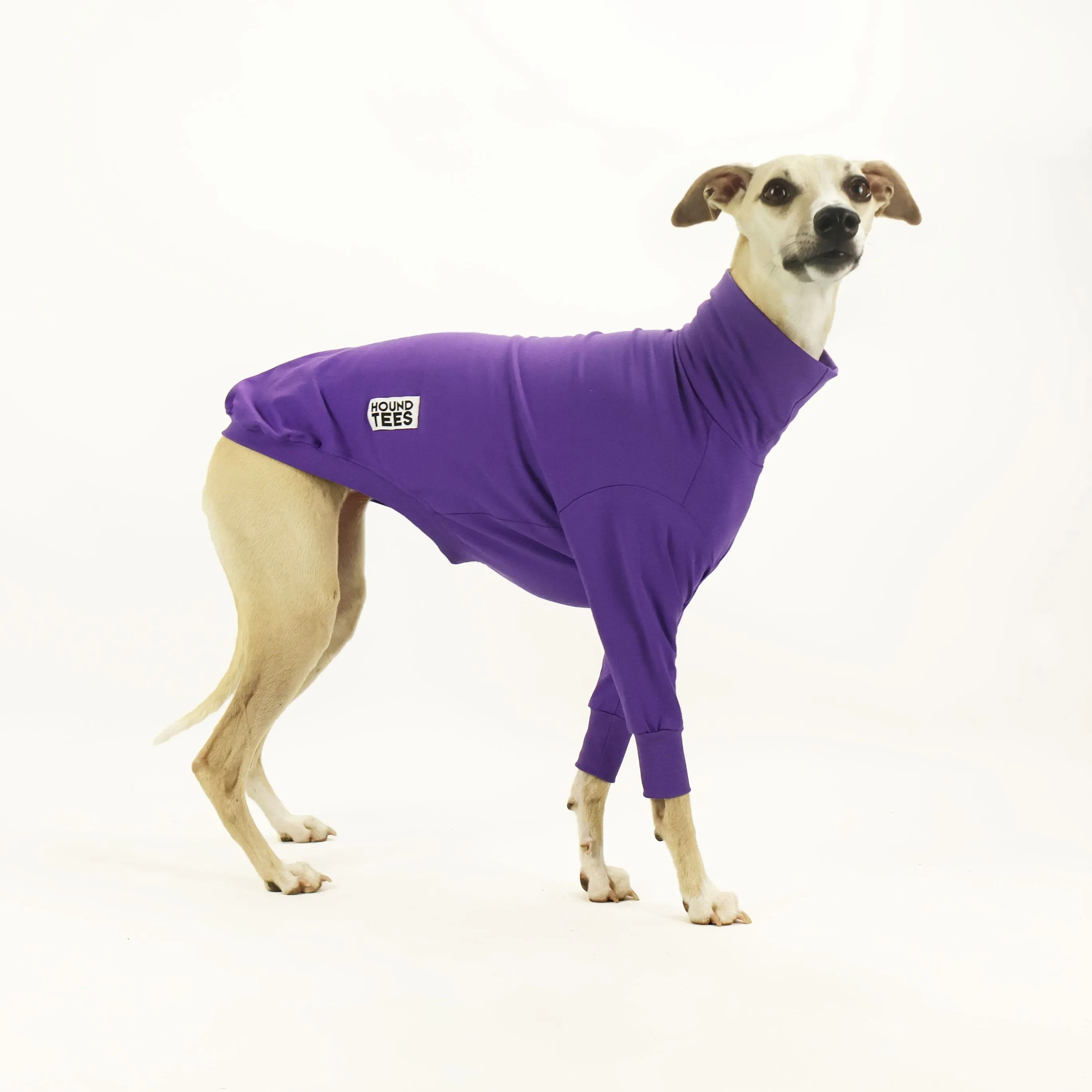 Royal Roach Whippet Long Sleeve Base Layer